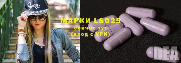 ECSTASY Кукмор