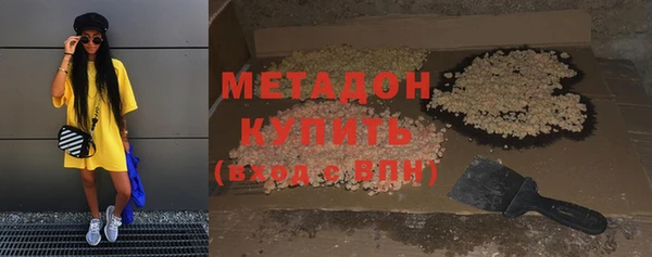 прущие грибы Покровск
