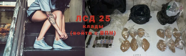 прущие грибы Покровск