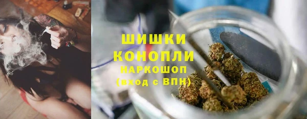 прущие грибы Покровск