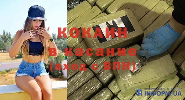 прущие грибы Покровск