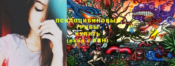прущие грибы Покровск