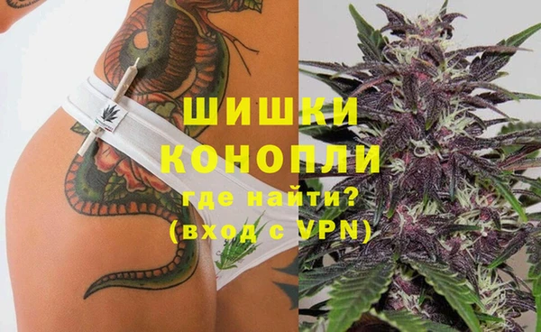 молекула духа Покров