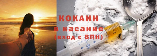 прущие грибы Покровск