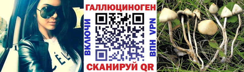 кракен ССЫЛКА  купить  сайты  Вихоревка  Псилоцибиновые грибы GOLDEN TEACHER 