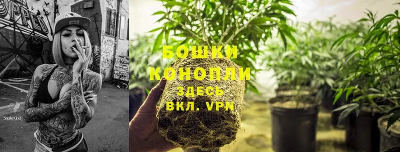 цена   Вихоревка  МАРИХУАНА OG Kush 